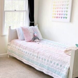 Pottery Barn kids Bailey Ruffle Quilt- Twin and one Euro Sham